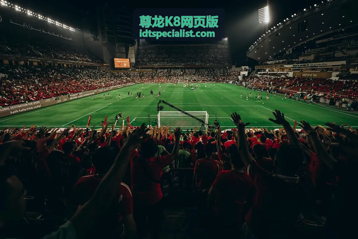 尊龙K8网页版在办公代理网络中的访问路径