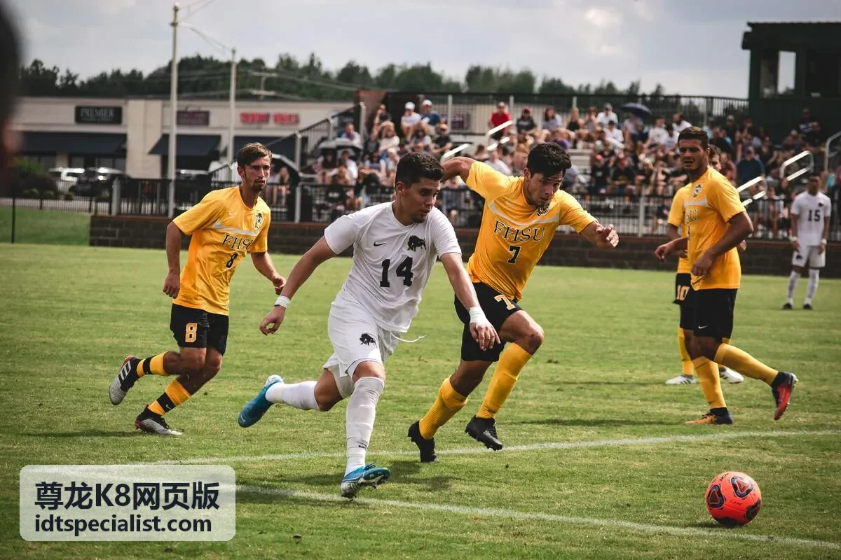 尊龙K8网页版浏览器缓存与本地设置处理